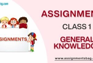 Assignments For Class 1 General Knowledge