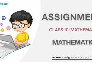 Assignments For Class 10 Mathematics