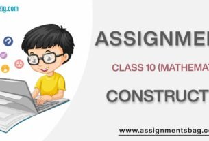 Assignments For Class 10 Mathematics Construction