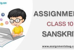 Assignments For Class 10 Sanskrit
