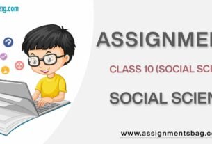 Assignments For Class 10 Social Science