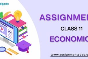 Assignments For Class 11 Economic