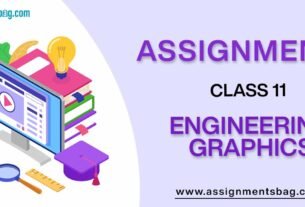 Assignments For Class 11 Engineering Graphics