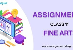 Assignments For Class 11 Fine Arts