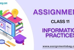 Assignments For Class 11 Informatics Practices