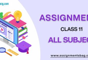 Assignments For Class 11 Accountancy