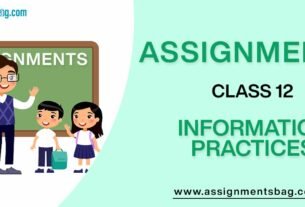 Assignments For Class 12 Informatics Practices
