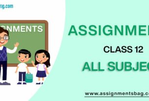 Assignments For Class 12 all subject