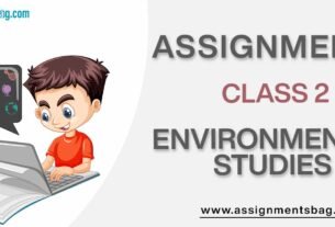 Assignments For Class 2 Environmental Studies