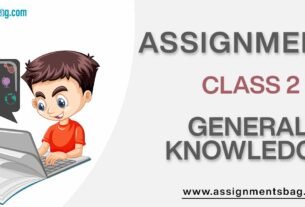 Assignments For Class 2 General Knowledge