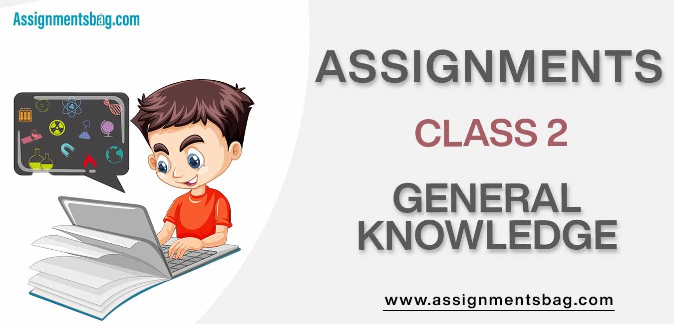 Assignments For Class 2 General Knowledge