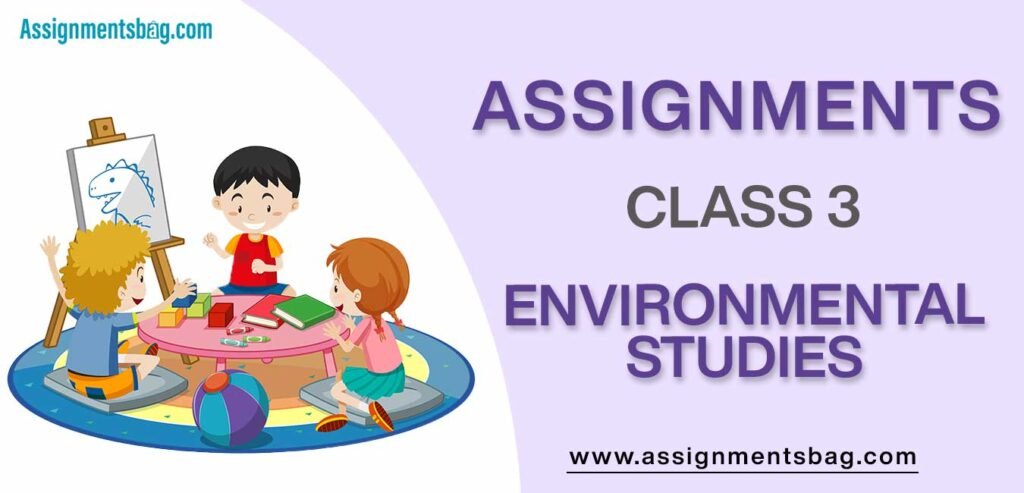 Assignments For Class 3 Environmental Studies