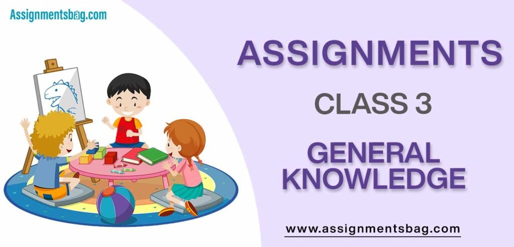 Assignments For Class 3 General Knowledge