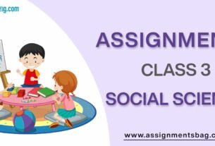 Assignments For Class 3 Social Science