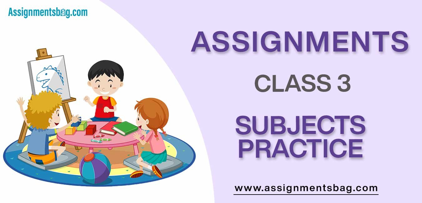 Assignments For Class 3 Subjects Practice