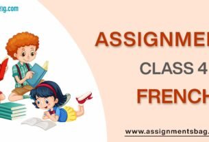 Assignments For Class 4 French
