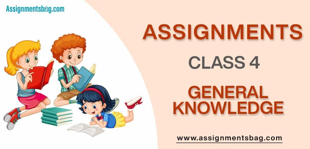 Assignments For Class 4 General Knowledge