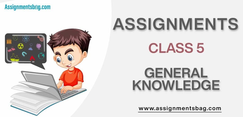 Assignments For Class 5 General Knowledge