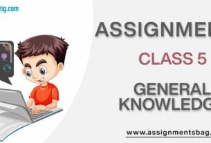 Assignments For Class 5 General Knowledge