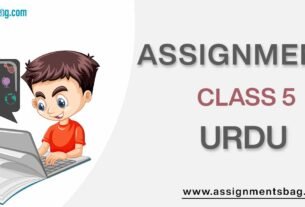 Assignments For Class 5 Urdu