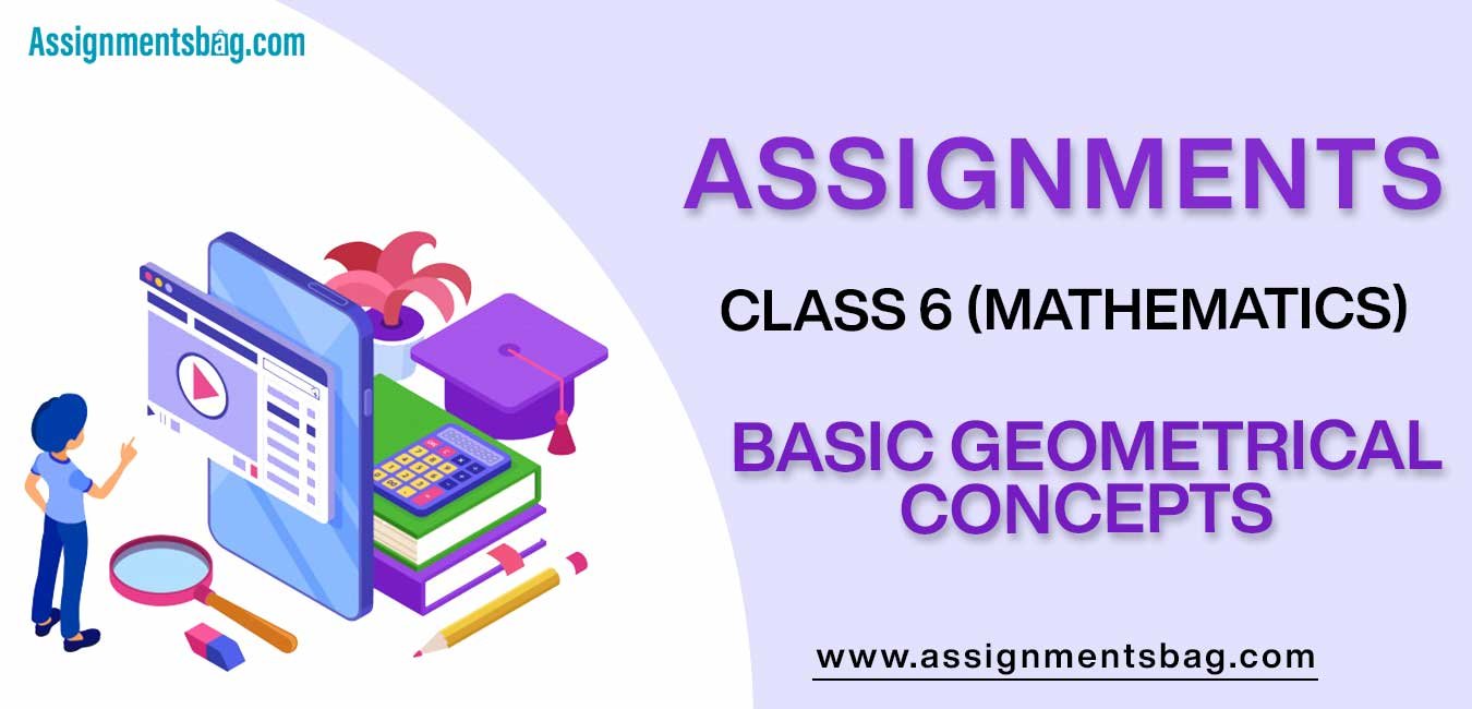 Assignments For Class 6 Mathematics Basic Geometrical Concepts