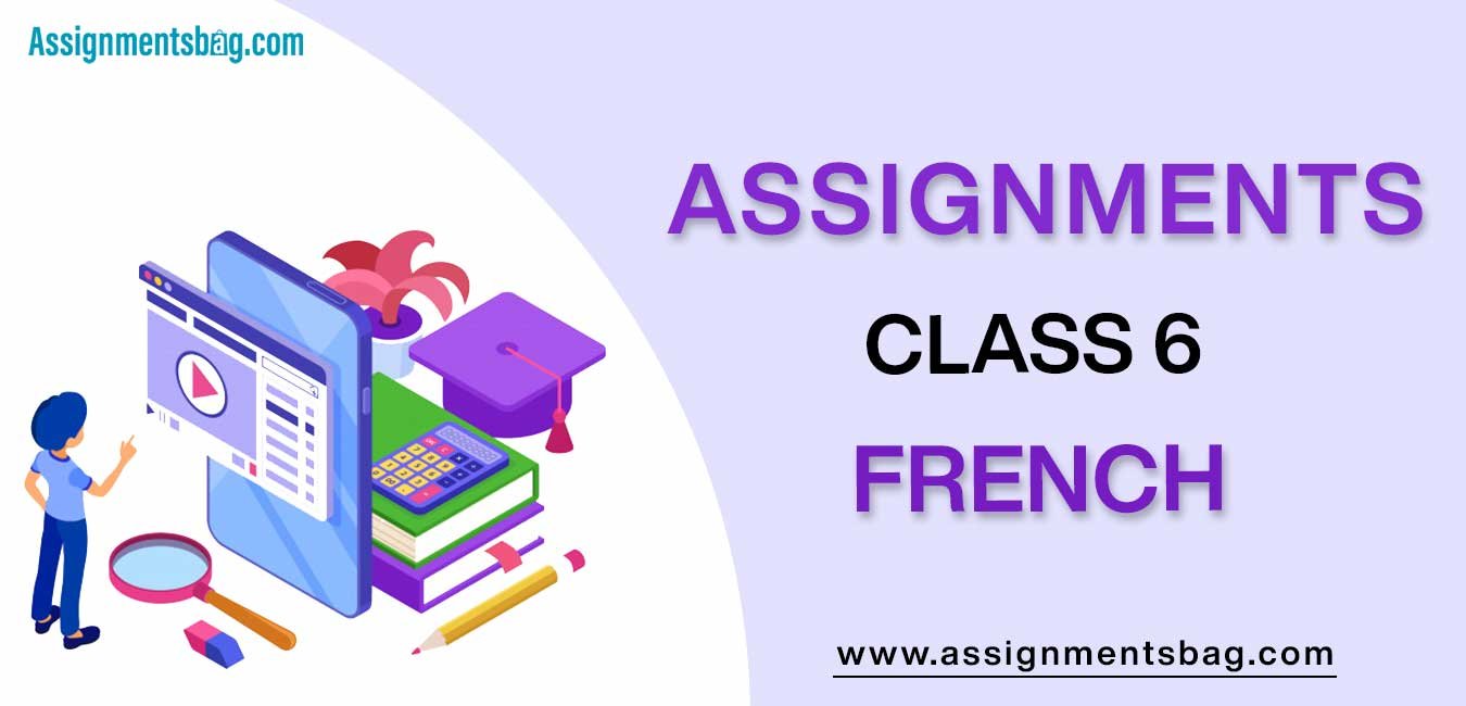 assignments for class 6 french