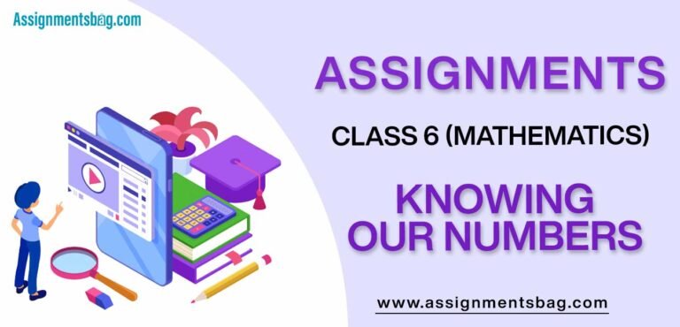 class 6 maths assignment 1