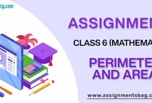 Assignments For Class 6 Mathematics Perimeter And Area