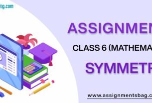 Assignments For Class 6 Mathematics Symmetry