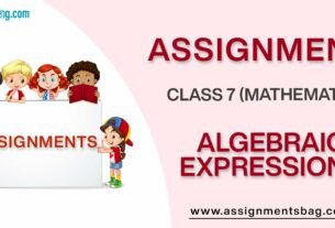 Assignments For Class 7 Mathematics Algebraic Expressions