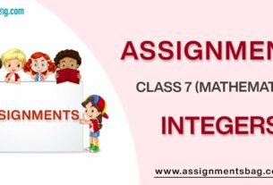 Assignments For Class 7 Mathematics Integers