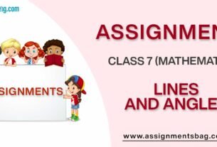 Assignments For Class 7 Mathematics Lines And Angles