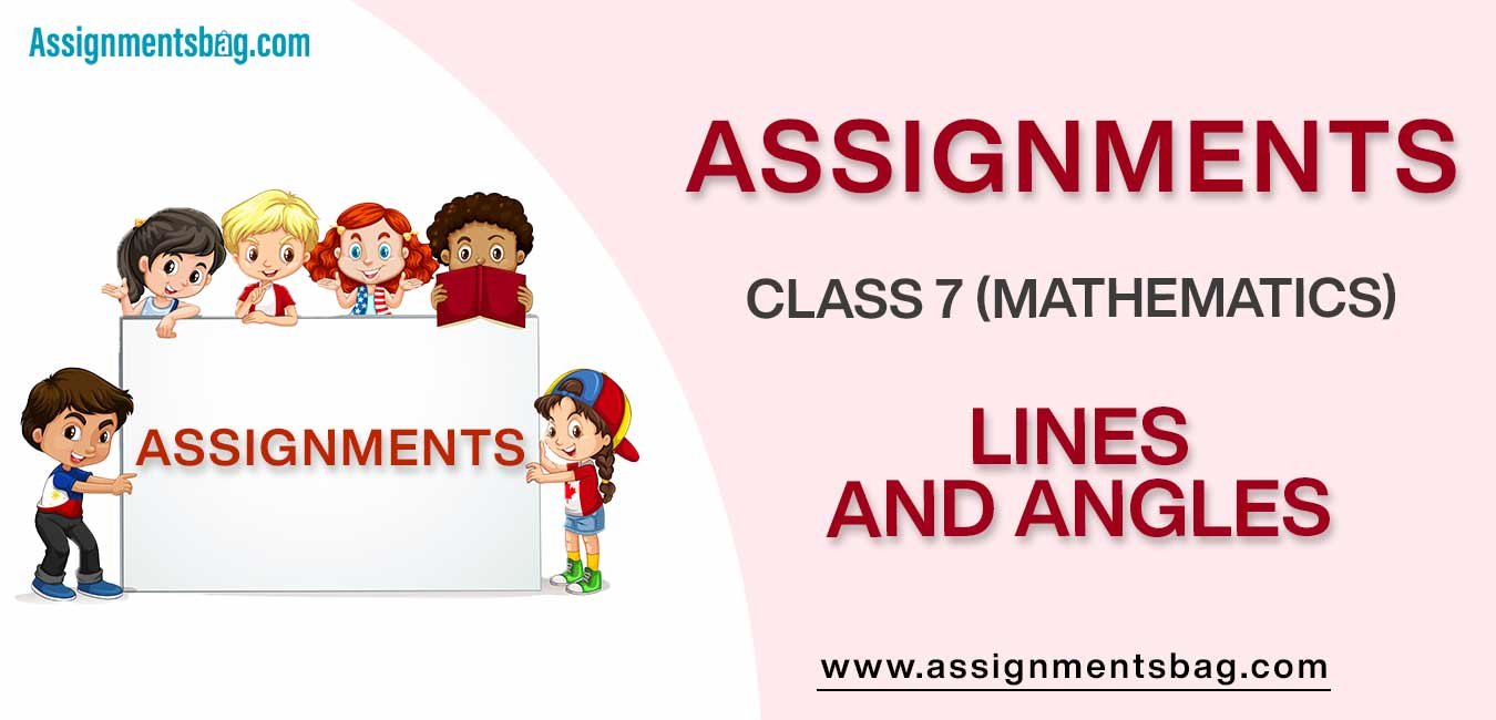 Assignments For Class 7 Mathematics Lines And Angles