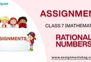 Assignments For Class 7 Mathematics Rational Numbers