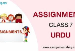 Assignments For Class 7 Urdu
