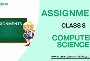 Assignments For Class 8 Computer Science