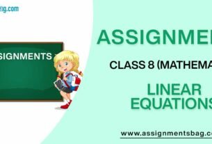 Assignments For Class 8 Mathematics Linear Equations