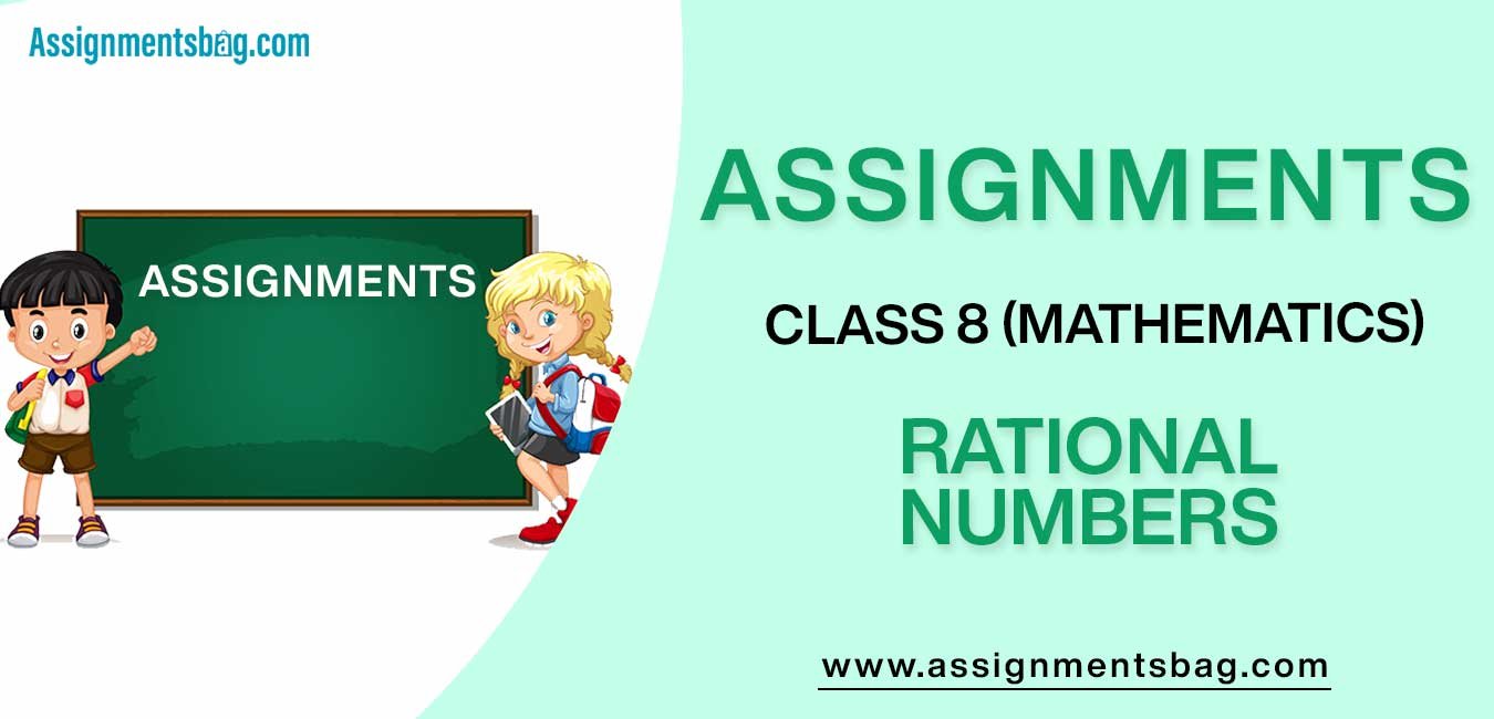 Assignments For Class 8 Mathematics Rational Numbers