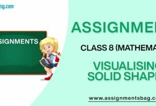 Assignments For Class 8 Mathematics Visualising Solid Shapes