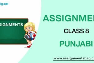 Assignments For Class 8 Punjabi