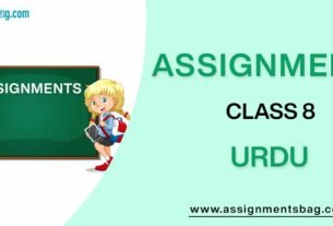 Assignments For Class 8 Urdu
