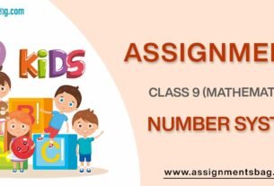 Assignments For Class 9 Mathematics Number System