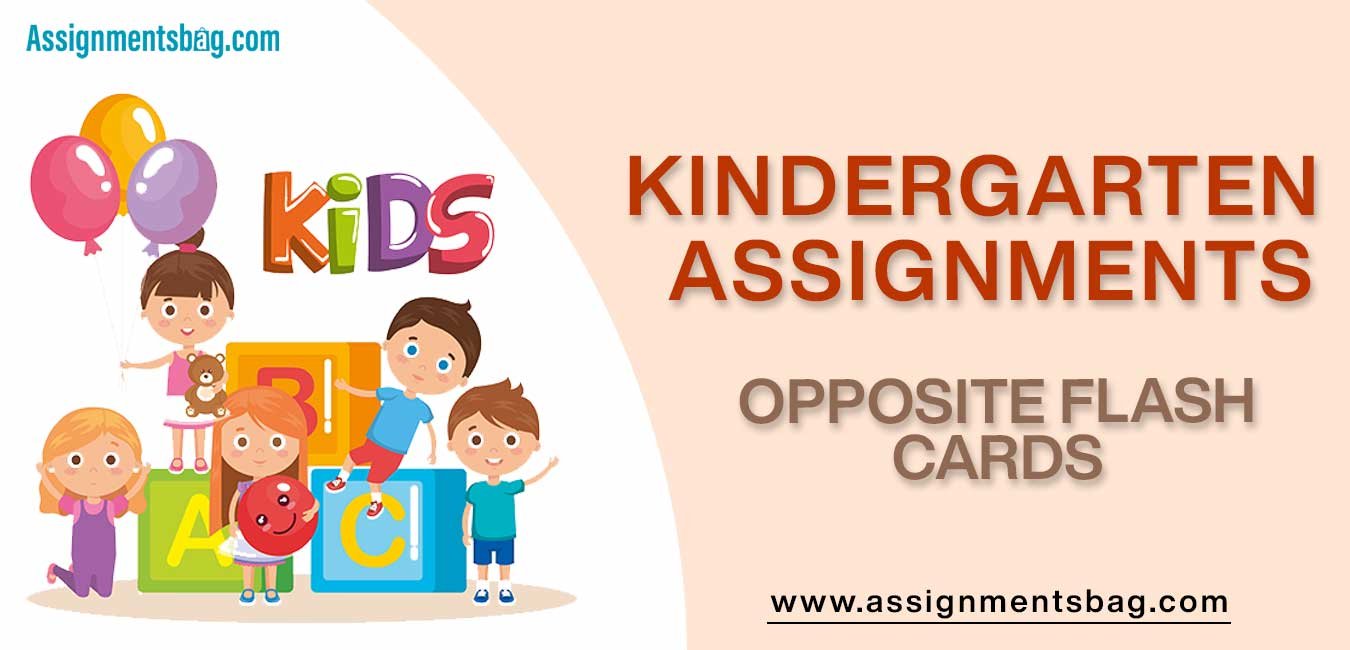 Opposite Flash Cards Assignments Download PDF