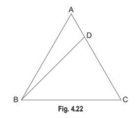 Assignments For Class 10 Mathematics Triangles