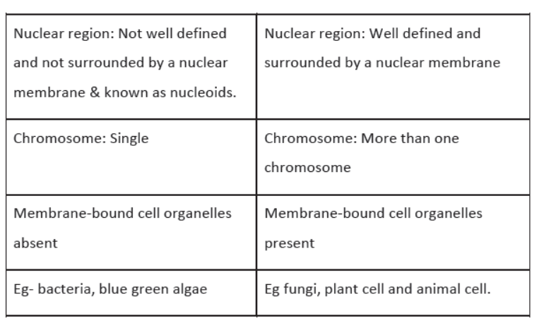 The Fundamental Unit Of Life Class 9 Science Notes