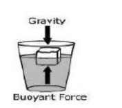 Gravitation Revision Note