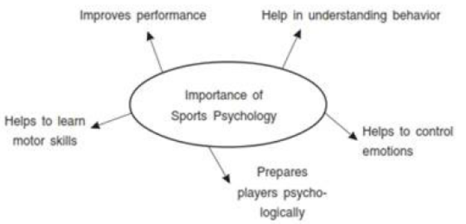 Psychology and Sports Revision Notes