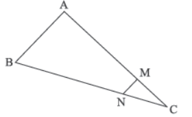 Case Study Chapter 6 Triangles Mathematics