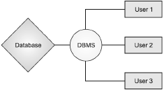 Introduction to DBMS Class 9 Computer Science Important Questions