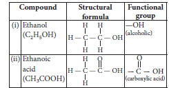 Carbon and Its Compound Class 10 Science Important Questions